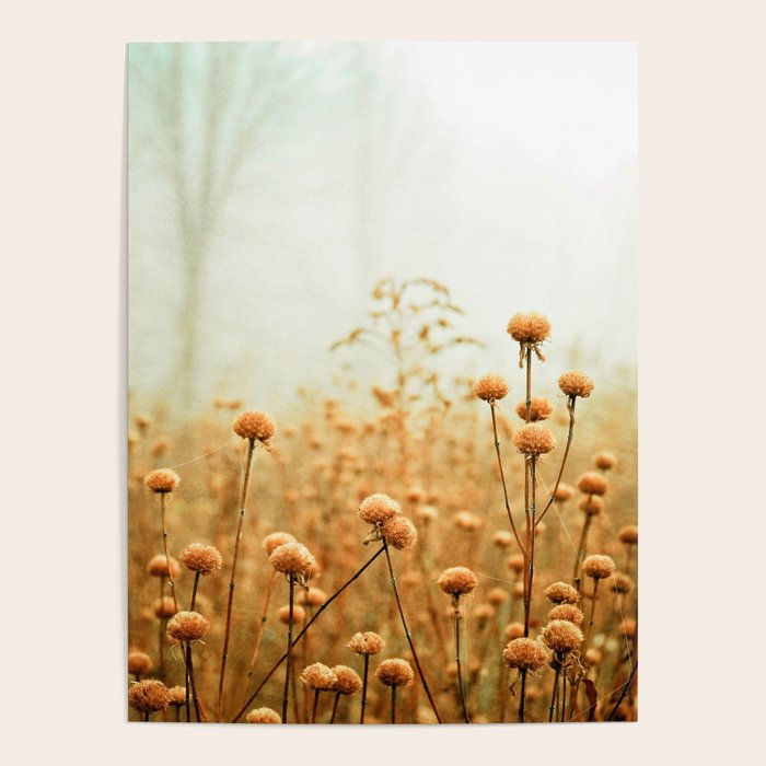 Daybreak in the Meadow Poster Gallery Image 4