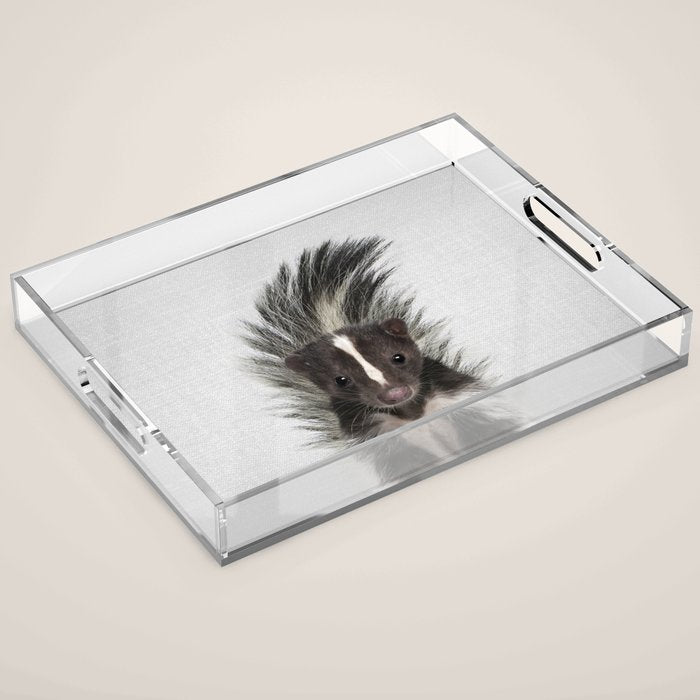 Skunk - Colorful Acrylic Tray Gallery Image 1