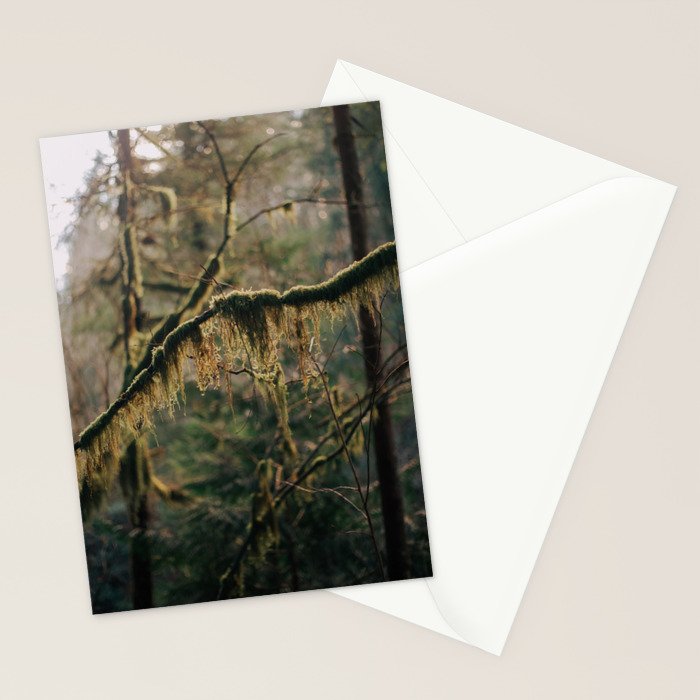 Hanging Moss Stationery Card Gallery Image 2