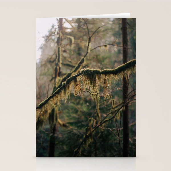 Hanging Moss Stationery Card Gallery Image 2