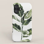 Ficus  iPhone Case Gallery Image 1