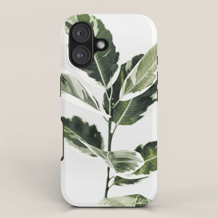 Ficus  iPhone Case Gallery Image 1