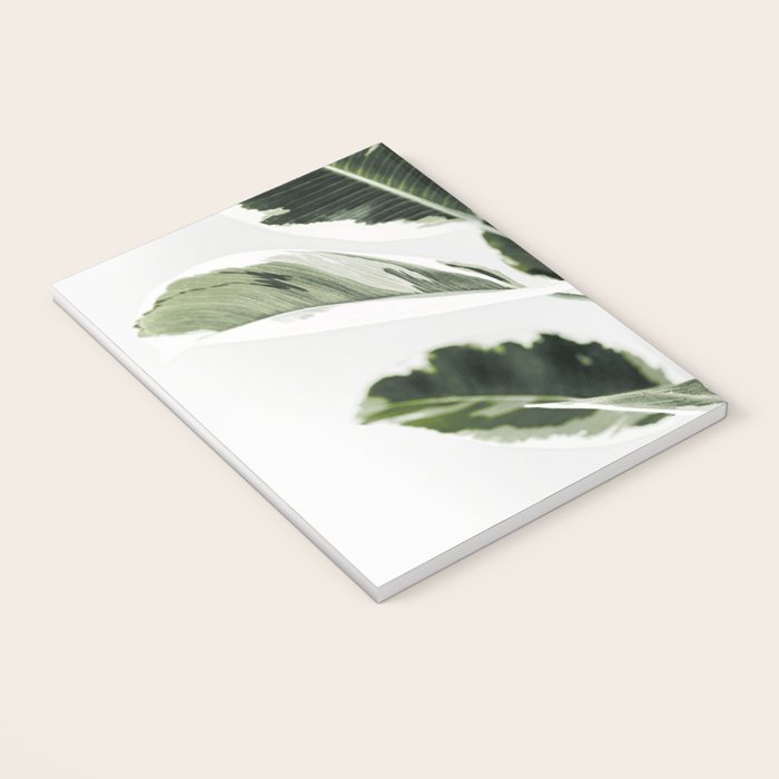 Ficus  Notebook Gallery Image 3