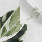Ficus  Wall Tapestry Gallery Image 3