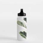 Ficus  Water Bottle Gallery Image 3