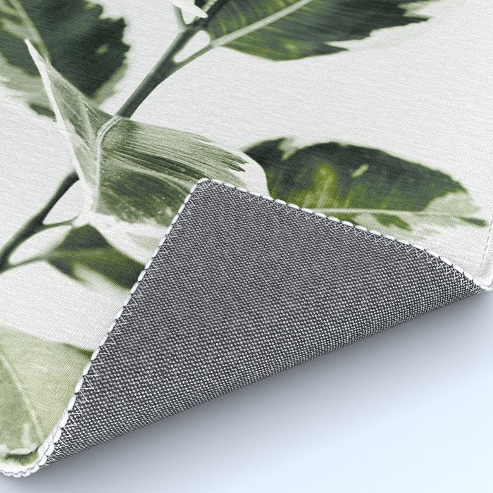 Ficus  Rug Gallery Image 4