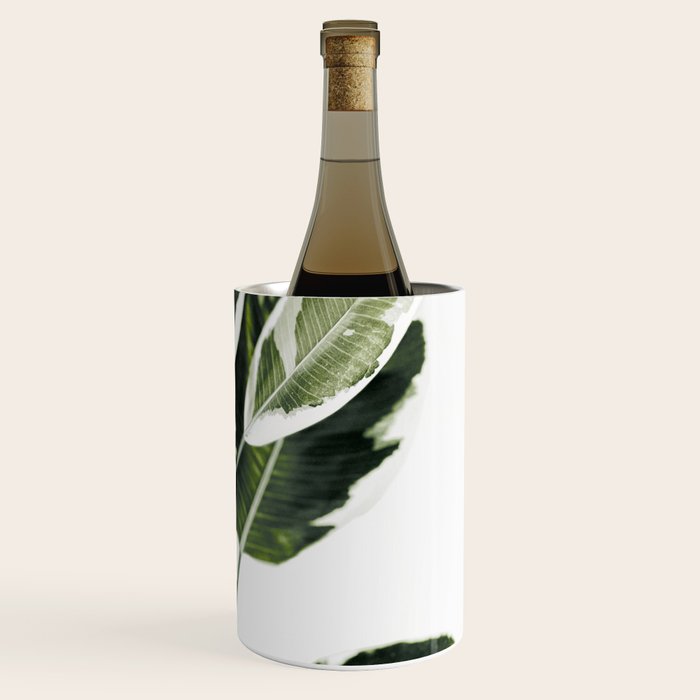 Ficus  Wine Chiller Gallery Image 3