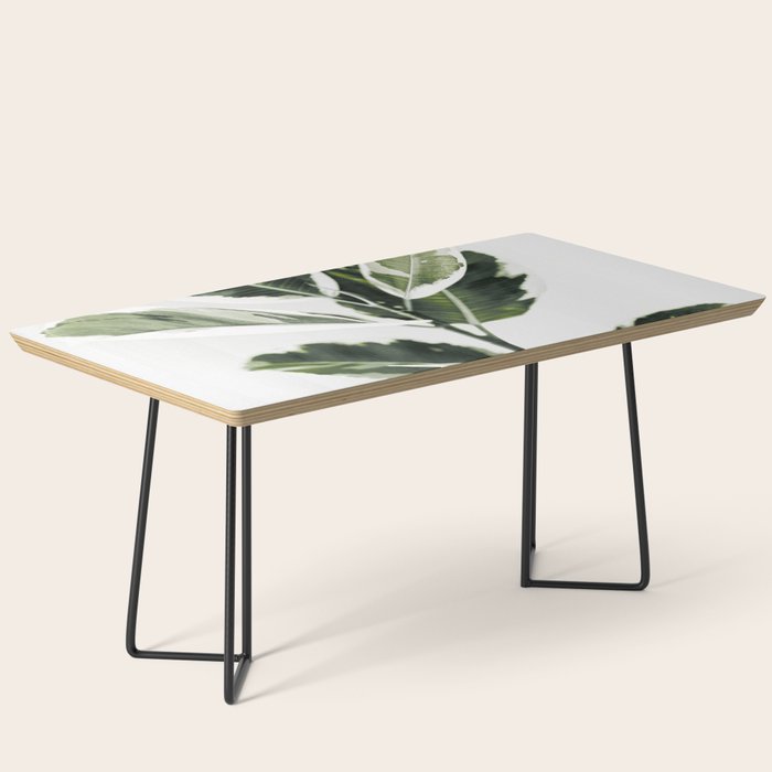 Ficus  Coffee Table Gallery Image 1