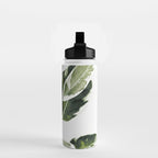 Ficus  Water Bottle Gallery Image 2