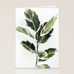 Ficus  Stationery Card Gallery Image 2
