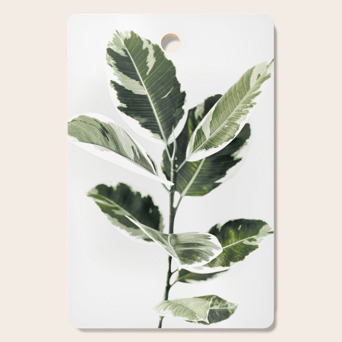 Ficus  Cutting Board Gallery Image 1