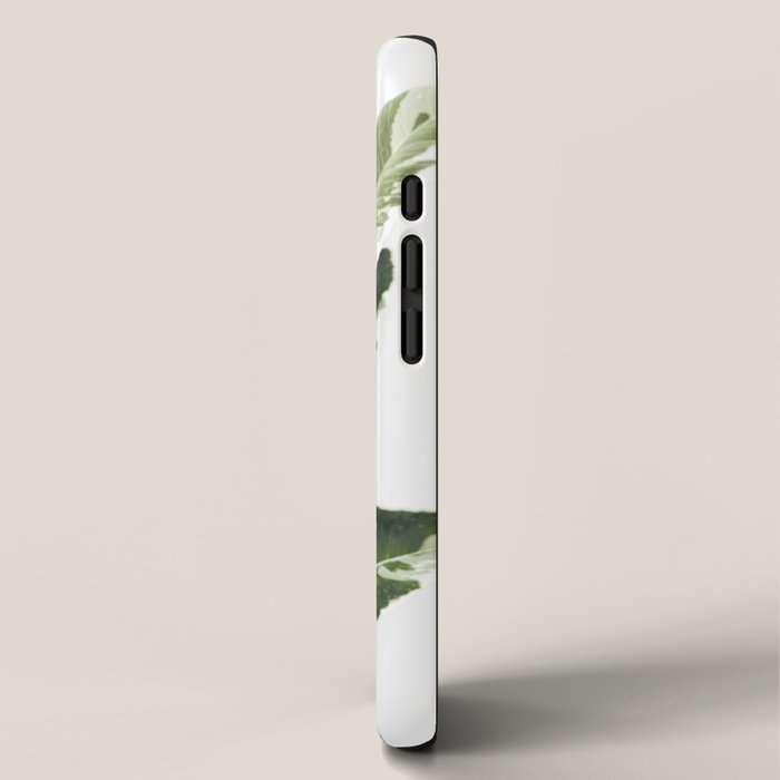 Ficus  iPhone Case Gallery Image 2
