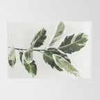 Ficus  Rug Gallery Image 2