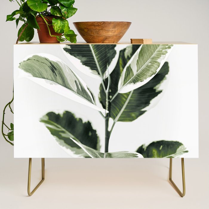 Ficus  Credenza Gallery Image 1