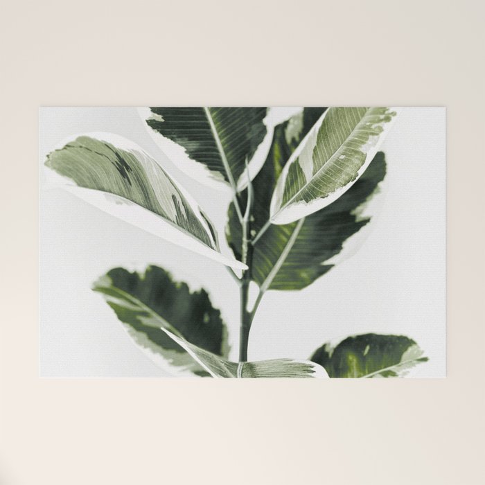 Ficus  Welcome Mat Gallery Image 1