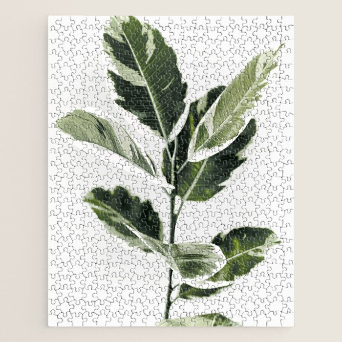 Ficus  Jigsaw Puzzle