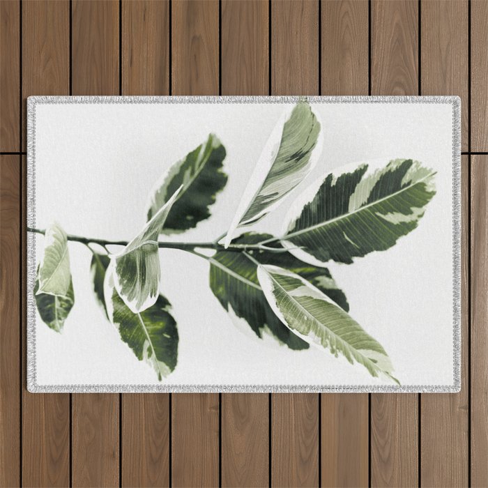 Ficus  Outdoor Rug Gallery Image 1