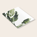 Ficus  Notebook Gallery Image 2