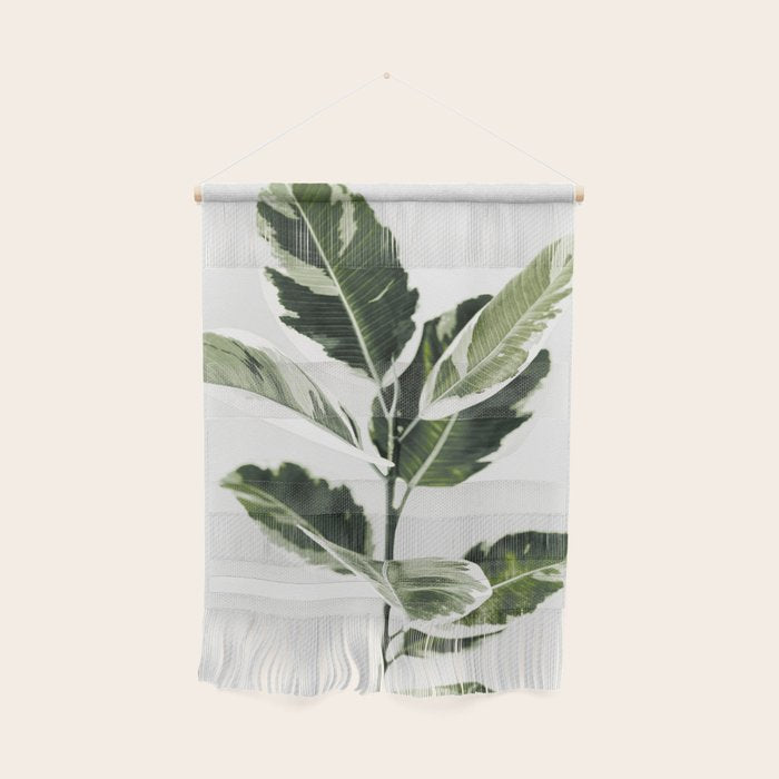 Ficus  Wall Hanging Gallery Image 1
