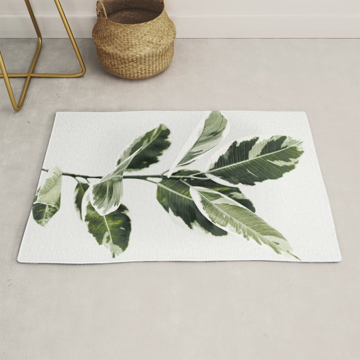 Ficus  Rug Gallery Image 1