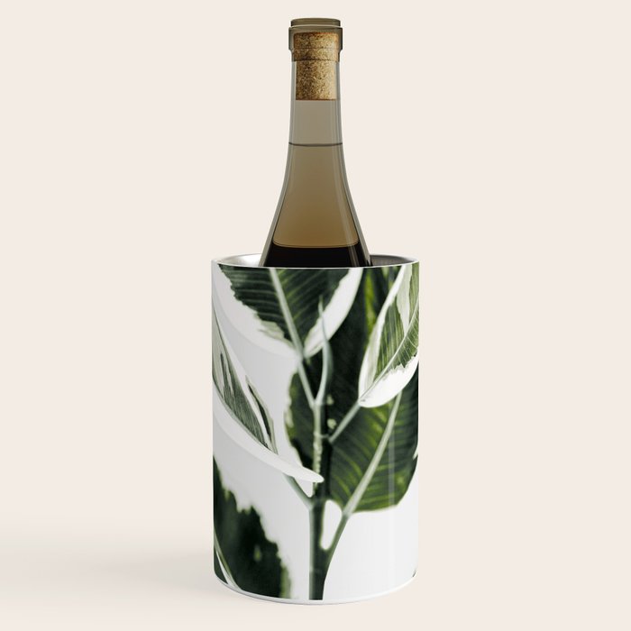 Ficus  Wine Chiller Gallery Image 1