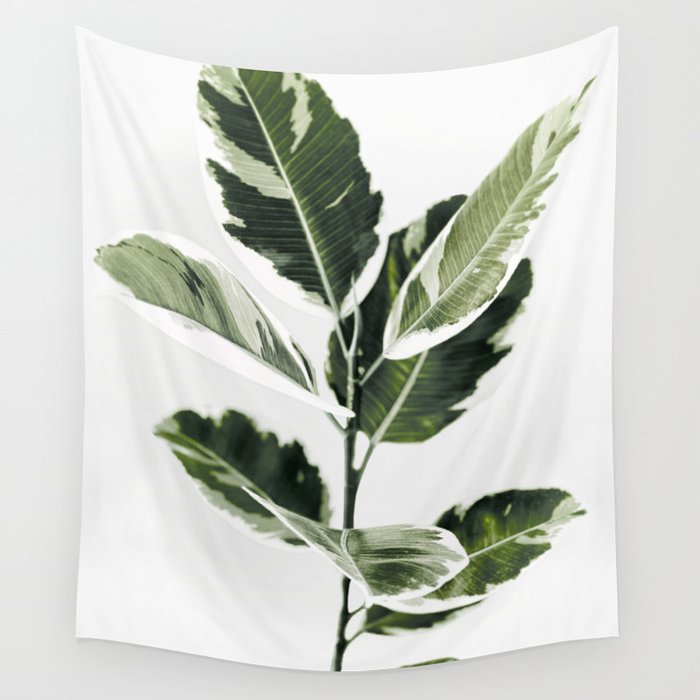 Ficus  Wall Tapestry Gallery Image 4
