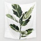 Ficus  Wall Tapestry Gallery Image 4