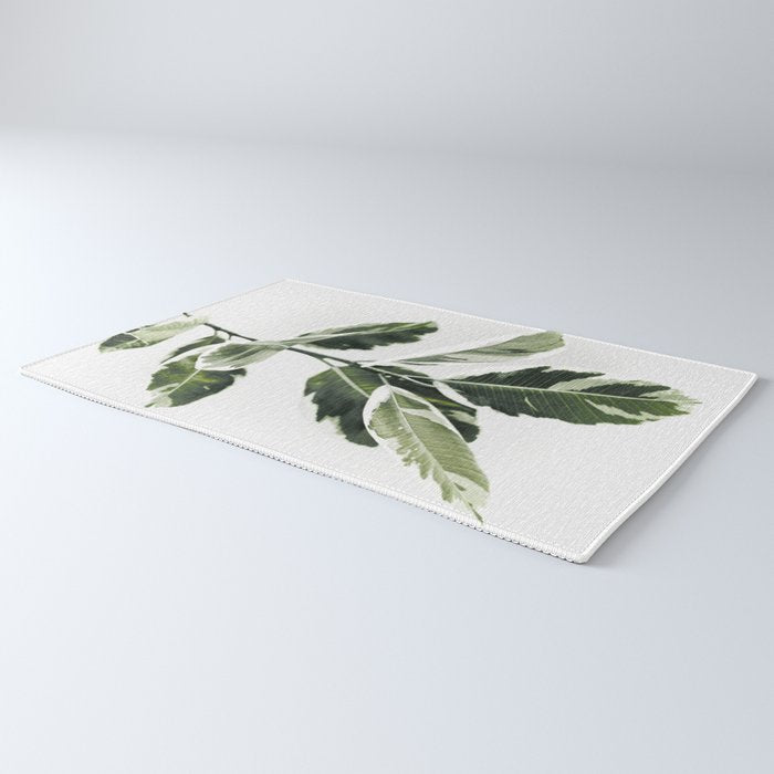 Ficus  Rug Gallery Image 3