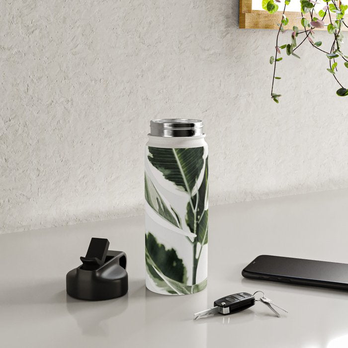 Ficus  Water Bottle Gallery Image 4