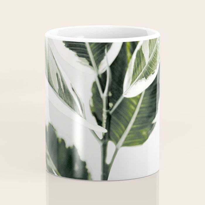 Ficus  Coffee Mug Gallery Image 4