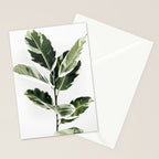 Ficus  Stationery Card Gallery Image 2