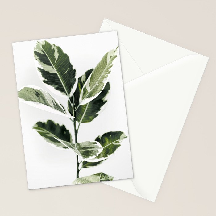 Ficus  Stationery Card Gallery Image 2