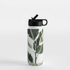 Ficus  Water Bottle Gallery Image 1