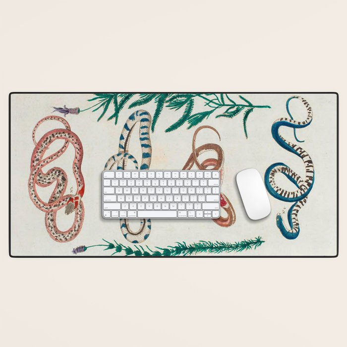 Seba Albertus Snakes With Plants  Desk Mat Gallery Image 1
