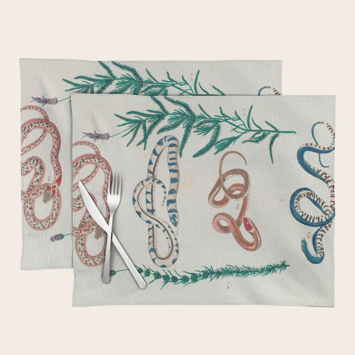 Seba Albertus Snakes With Plants  Placemat Gallery Image 1