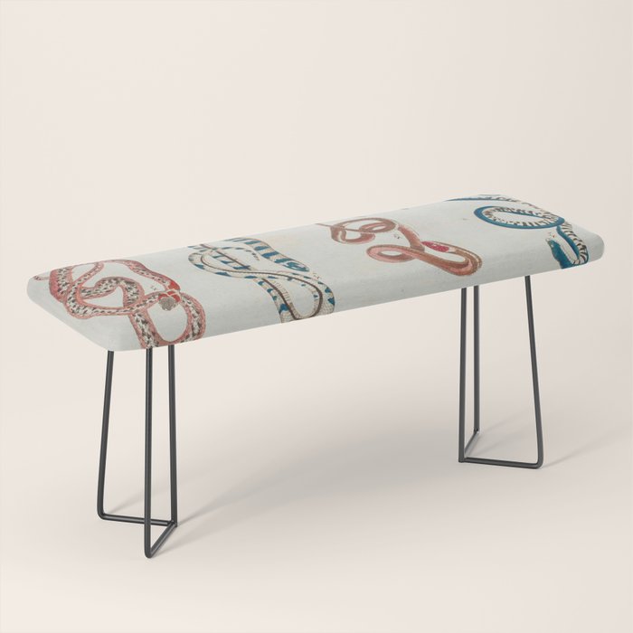 Seba Albertus Snakes With Plants  Bench Gallery Image 1