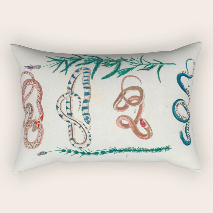 Seba Albertus Snakes With Plants  Rectangular Pillow Gallery Image 2