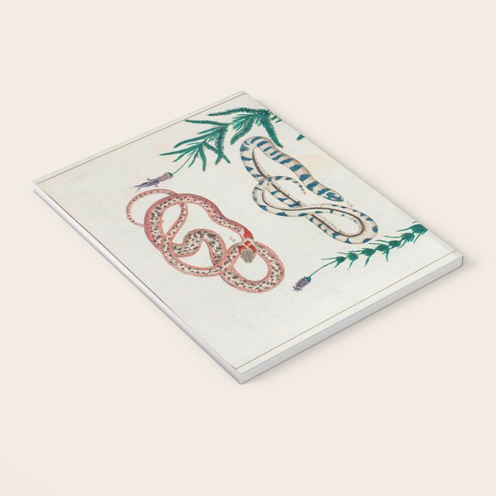 Seba Albertus Snakes With Plants  Notebook Gallery Image 3