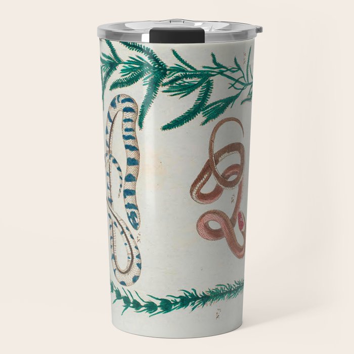 Seba Albertus Snakes With Plants  Travel Mug Gallery Image 1