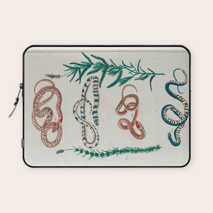 Seba Albertus Snakes With Plants  Laptop Sleeve Gallery Image 1