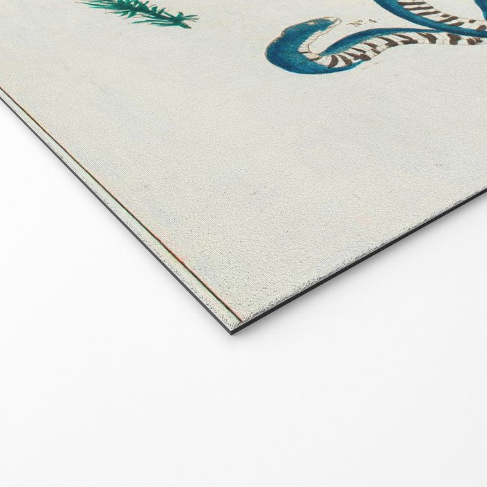 Seba Albertus Snakes With Plants  Welcome Mat Gallery Image 2