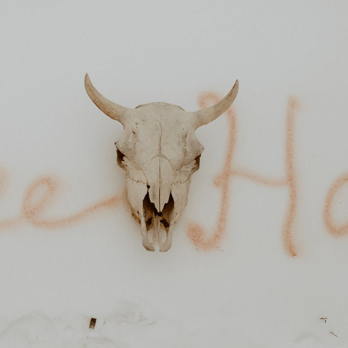 Yee Haw Cow Skull Coffee Mug Gallery Image 2