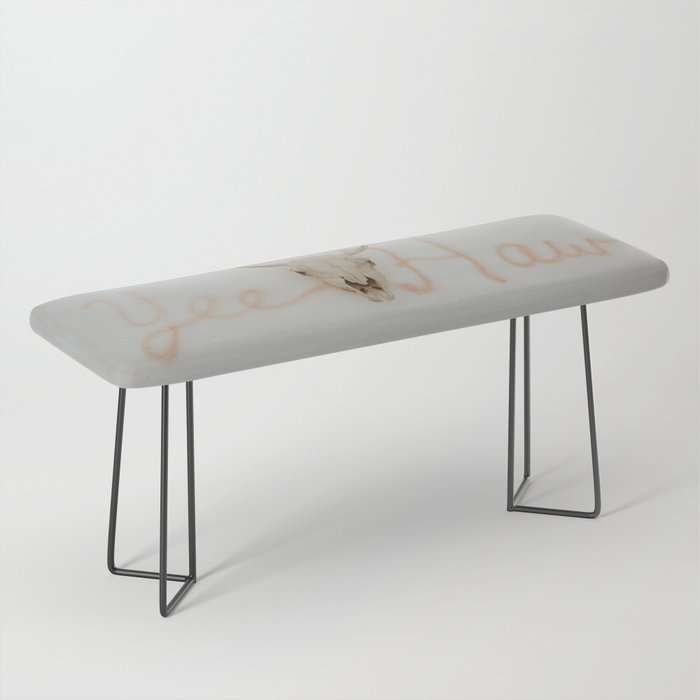 Yee Haw Cow Skull Bench Gallery Image 1