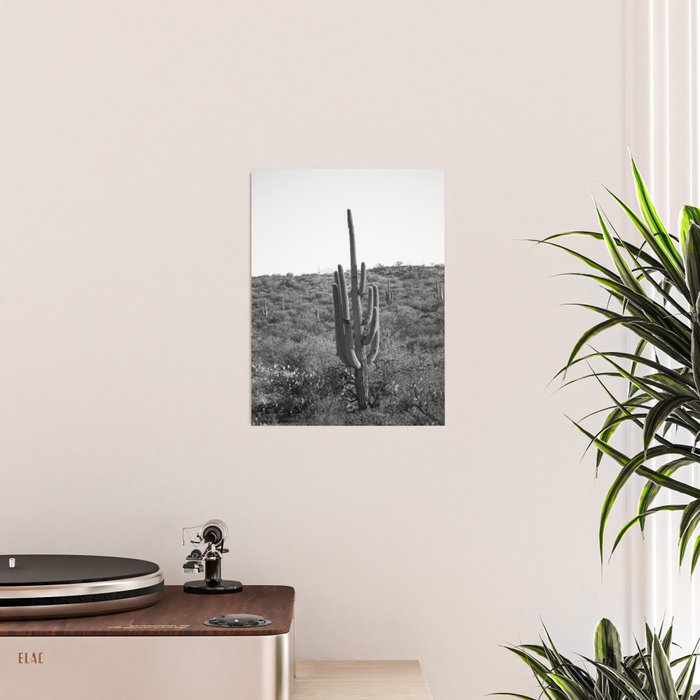 Arizona Landscape Photography x Saguaro National Park Poster Gallery Image 2