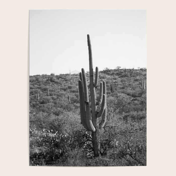 Arizona Landscape Photography x Saguaro National Park Poster Gallery Image 1