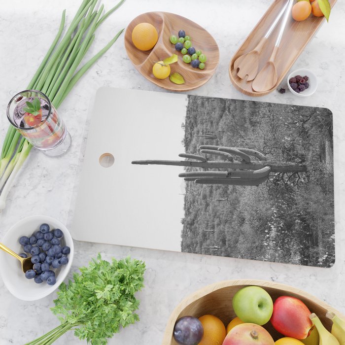 Arizona Landscape Photography x Saguaro National Park Cutting Board Gallery Image 2