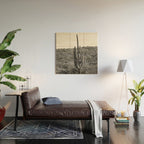 Arizona Landscape Photography x Saguaro National Park Wood Wall Art Gallery Image 2