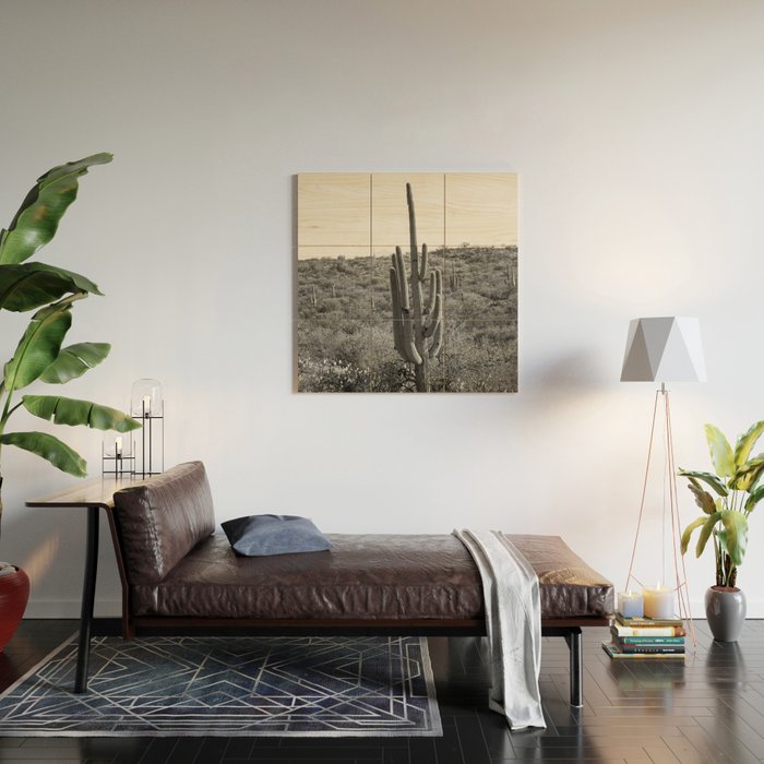 Arizona Landscape Photography x Saguaro National Park Wood Wall Art Gallery Image 2