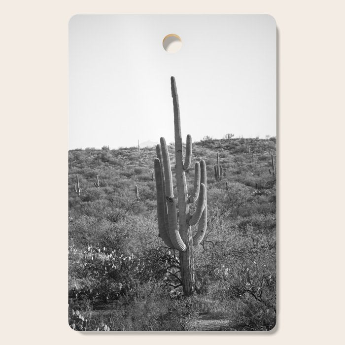 Arizona Landscape Photography x Saguaro National Park Cutting Board Gallery Image 1