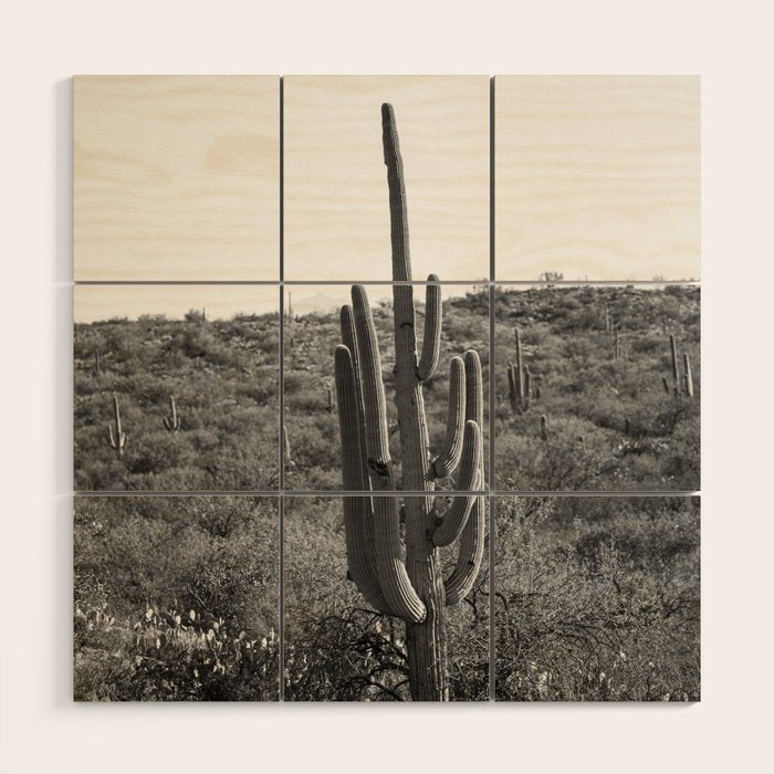 Arizona Landscape Photography x Saguaro National Park Wood Wall Art Gallery Image 1